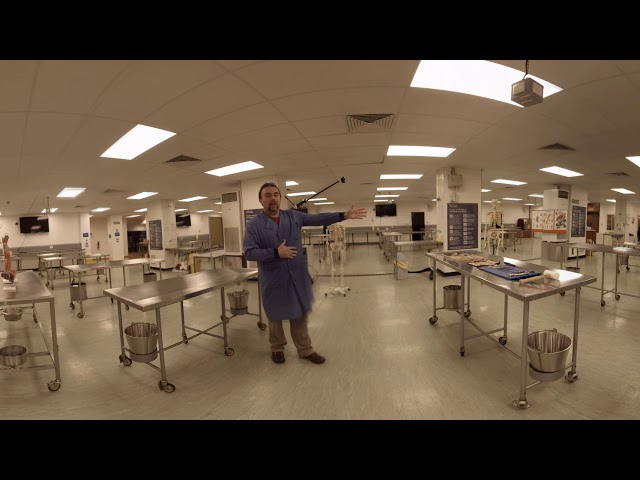 Using the Dissection Room of Leicester Medical School - Virtual Reality