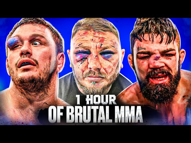 1 Hour Of Knockouts & Brutal MMA Moments