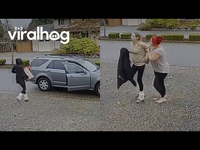 Package Thief Caught in the Act || ViralHog