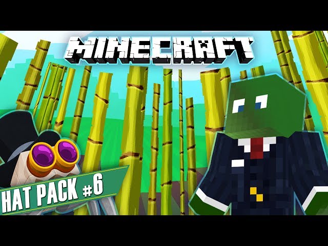 Papers Please! - Minecraft Hat Pack #6