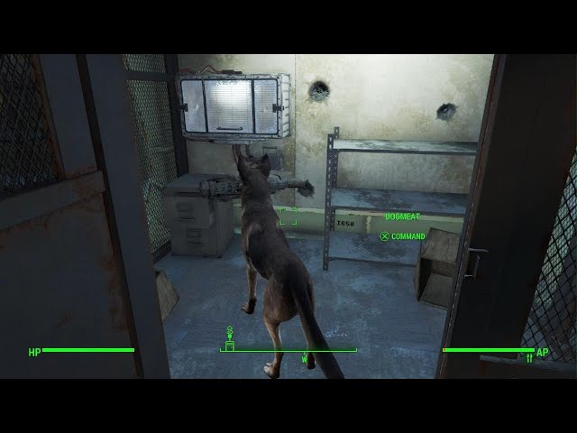 Fallout 4_Dogmeat gets cryolator gun