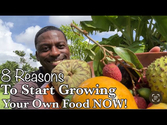 8 Reasons You Need To Start Growing Your Own Food