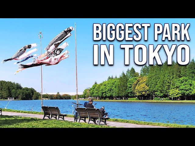 Biggest Park in Tokyo's 23 Wards: MIZUMOTO PARK (Full Tour) | JAPAN WALKING TOURS