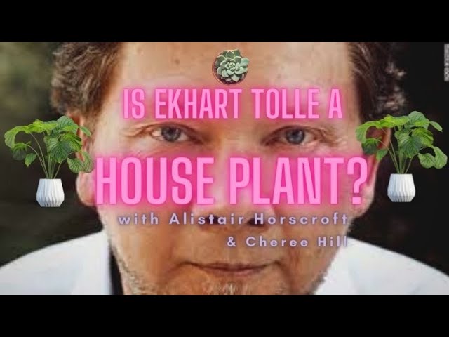 A discussion on Ekhart Tolle. Pro's and Con's of his teachings