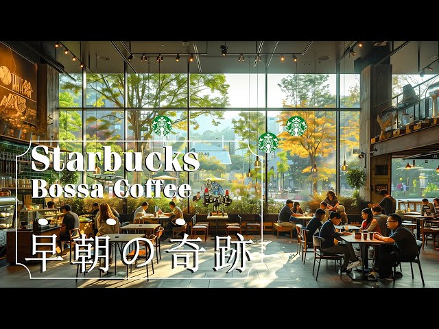 早朝の奇跡 - Starbucks Bossa Coffee 「Official Music Video」