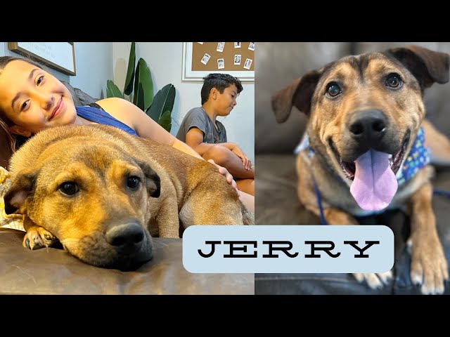 Meet Jerry, The Big Goofy Family Man