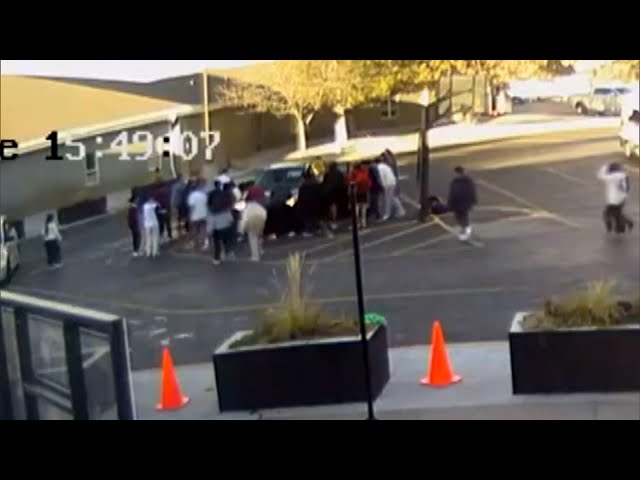 School Kids Help Save Woman and Son Pinned Under Car