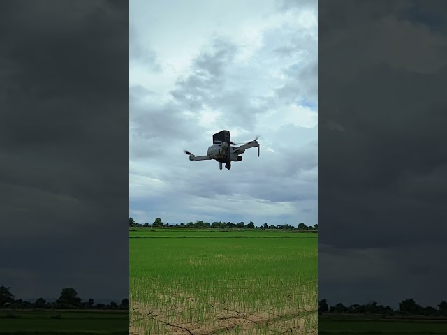 DJI Mini SE Drone Fly with Gopro hero 7 black test  #goprohero9 #djimini2  #drone