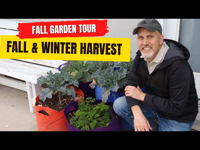 Fall Garden Tour | Fall and Winter Harvest