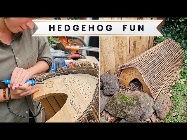 #4 Building the Hedgehog House