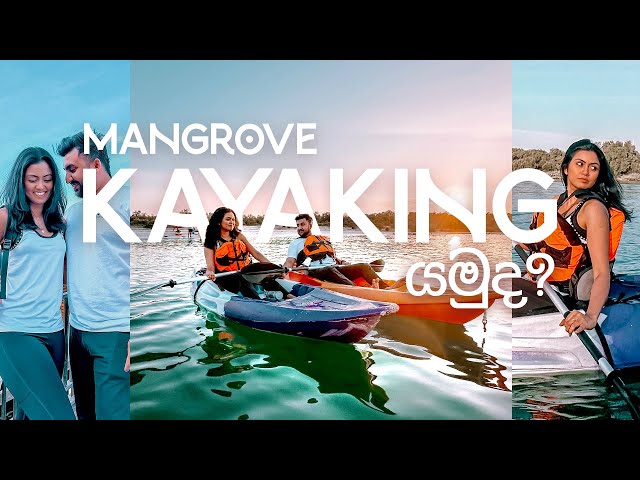 Mangrove Kayaking යමුද?