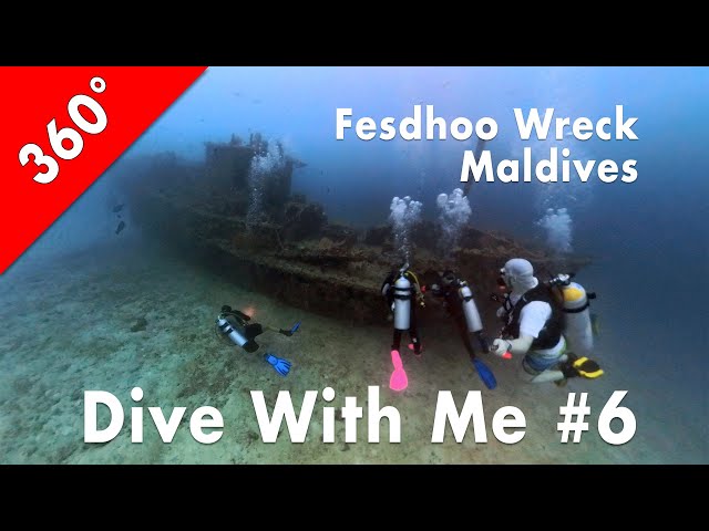 [360°] Dive With Me #6: Fesdhoo Wreck & Thila, Maldives (2024-01-17)