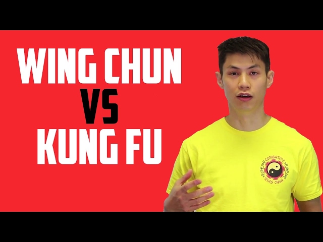 Wing Chun vs Shaolin Kung Fu