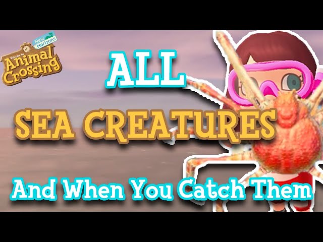 EVERY Sea Creature And When You Can Catch Them (Both Hemispheres!) | Animal Crossing: New Horizons