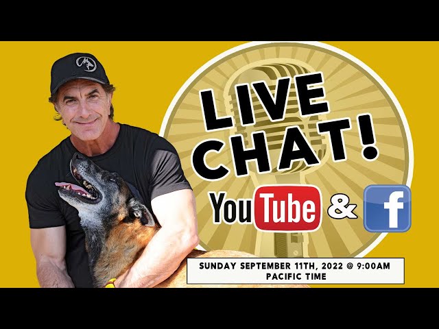 Dog Trainer Live Chat - Q&A