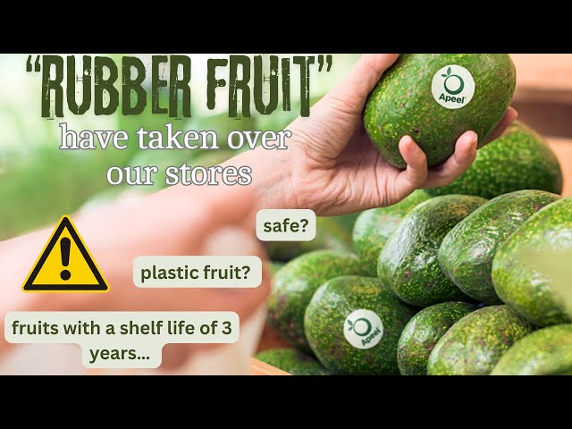 the “rubber fruit” phenomenon…what you need to know