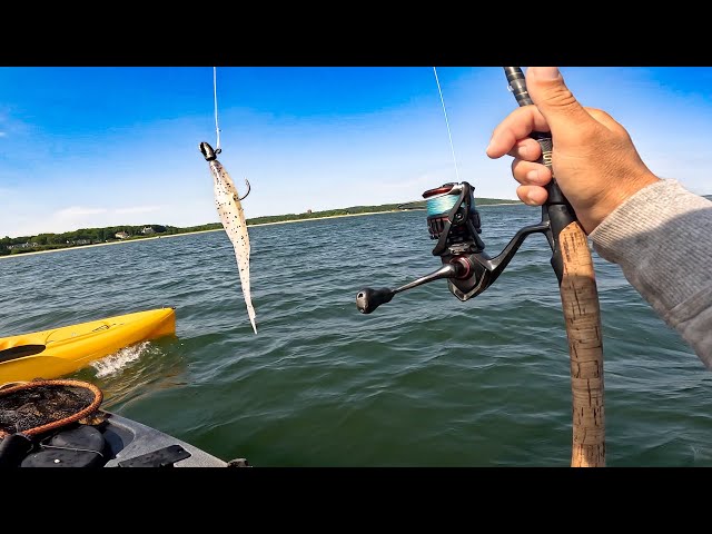 2.5 Hour UNCUT Zoom Fluke Vs. Gulp! Fishing In Long Island Sound (Match The Hatch)