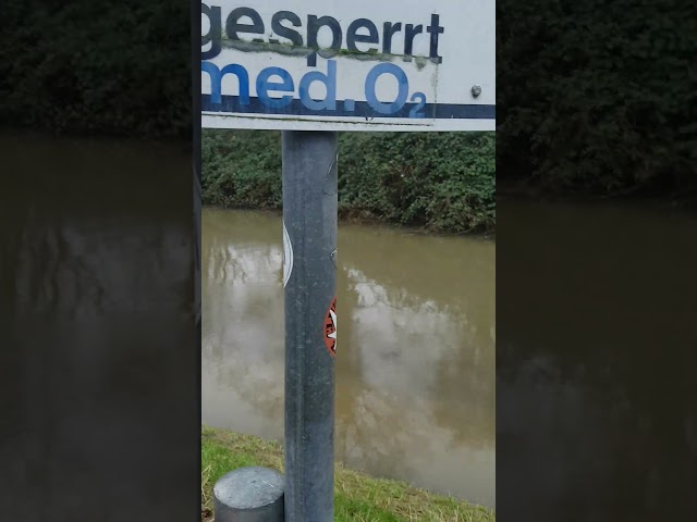 Hildesheim Wasserstand Eselsgraben zur Innerste 11.02.2024 - Ablass Innerste- und Granetalsperre?