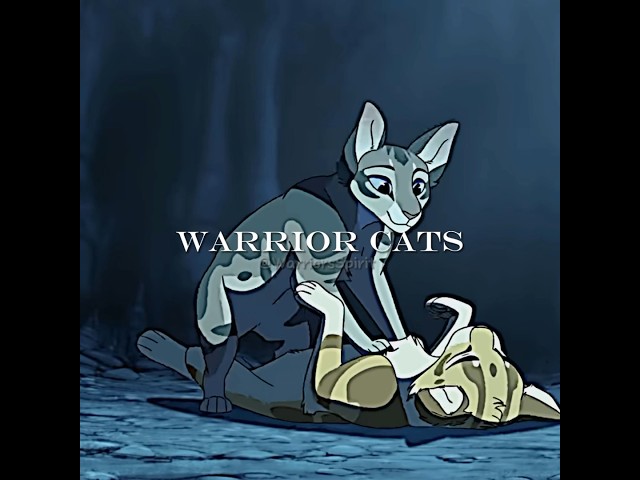Warrior Cats #warriorsspirit #warriorcats #edit #cats