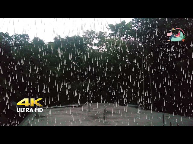 This Heavy Rain Will Put You Into Deep Sleep - Tropical Rain & Forest Thunderstorm Sounds for Sleep