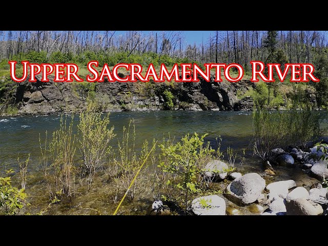 Upper Sacramento River, Spring Runoff Fishing - Trout BFS Lure Fishing [4K60 HDR]