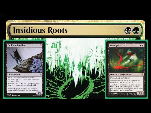 BG Lurrus Roots | Timeless