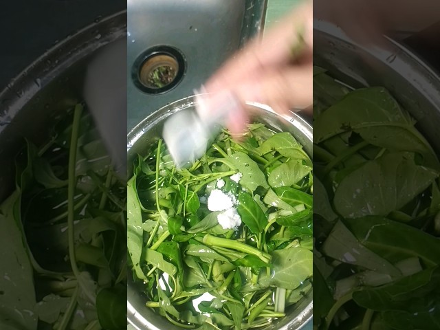 Cara mencuci sayur kangkung
