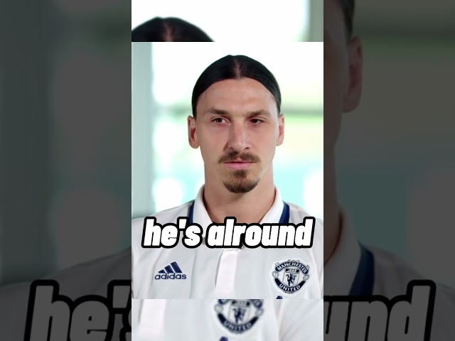 zlatan, lions don't compare themselves with human#boysquotes #shorts
