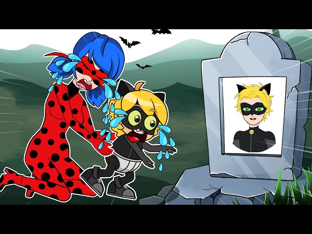 Oh No ...!! Ladybug don't cry! I don't hug you!!? LadyBug Life Story |Miraculous Animation