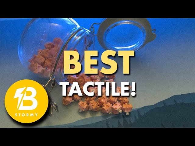 BEST TACTILE SWITCH BATTLE: Salmons vs Holy Pandas...
