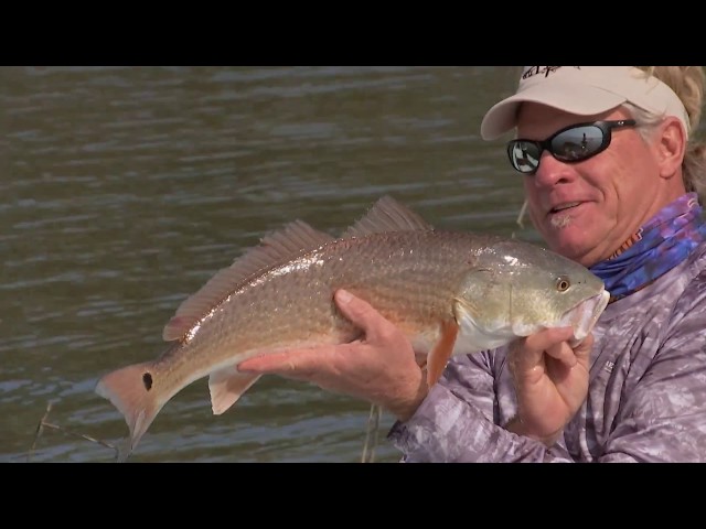 Georgia Flats Fishing for Redfish with DOA Lures and Mogan Spoon