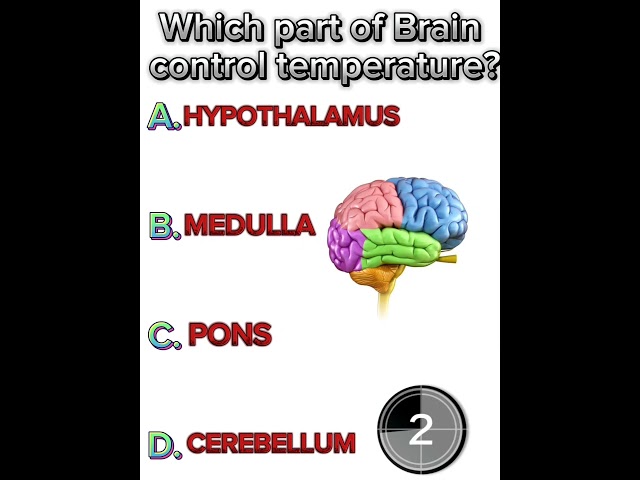 which part of Brain🧠 control 🛂 temperature🌡️? #Quiz #viral #shorts