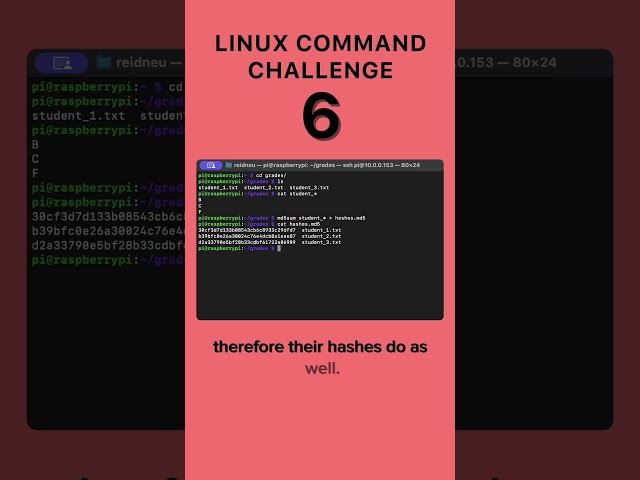 Level 6 - Linux Command Challenge #linux #macos #cmd #terminal #learning #challenge #interview