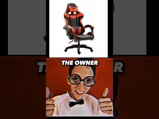 The owner (Gaming Chair Edition)