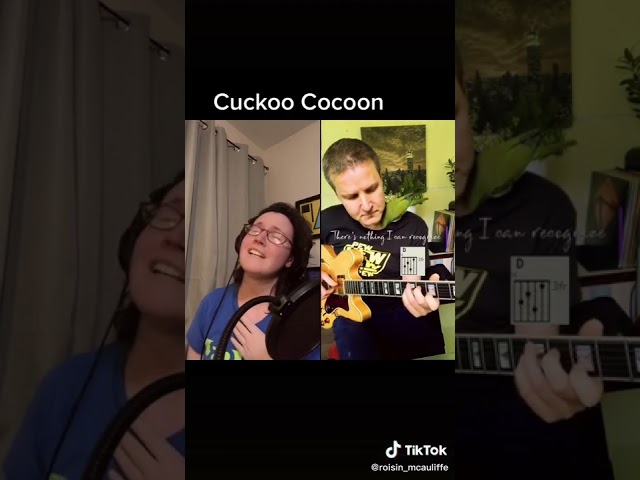 Cuckoo Cocoon cover version,vocals by Róisín McAuliffe #genesis #guitarist #progressiverock