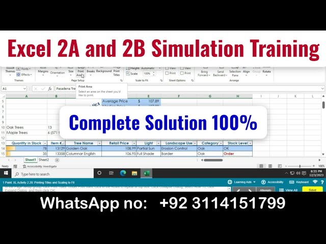 Excel 2A and 2B Simulation Training #simulationtraining #excelexam #2aexam #2bexam #2A #2B #myitlab