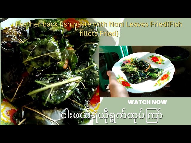 Delicious and Healthy Feather back fish paste with Noni Leaves Fried # ငါးဖယ်ရဲယိုရွက်ကြော်နည်း