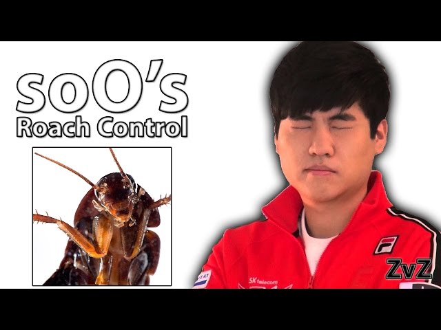 A Lesson from soO - Roach Control [ZvZ]