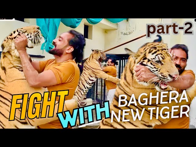 Fight With Baghera  | Bengal Tiger Jump & Attack | Multi Zoo Vlog Part-2 | Shero ka Badshah