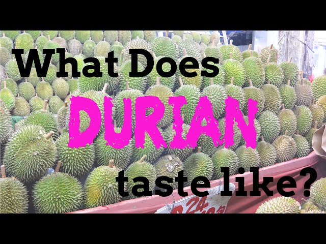 Durian Fruit Challenge- What Does it Taste Like?