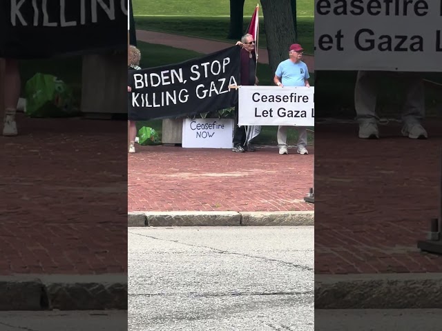 STOP GIVING ISRAEL GUNS!