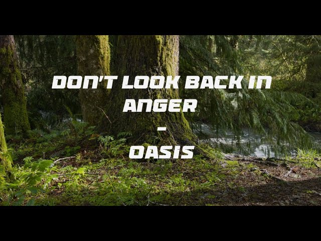 DON'T LOOK BACK IN ANGER - OASIS (LYRICX)