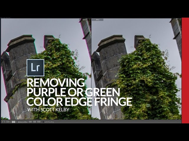 How to Get Rid Of That Purple or Green Edge Fringe in Lightroom