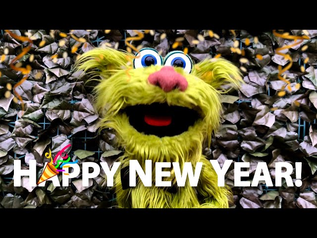 New Year's Resolutions - Avocado Asks The Public