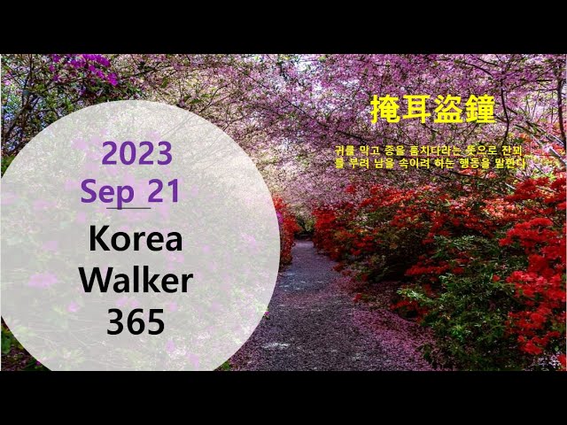 [4K] Korea Walker 365 "Korea University SeJong Campus Walking Route" in Korea