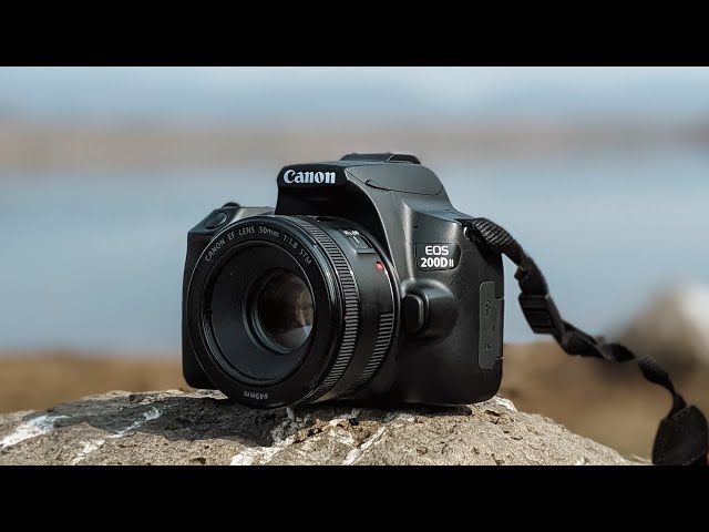 Canon 200D Mark ii OUTDOOR Photography & FOCUS Test