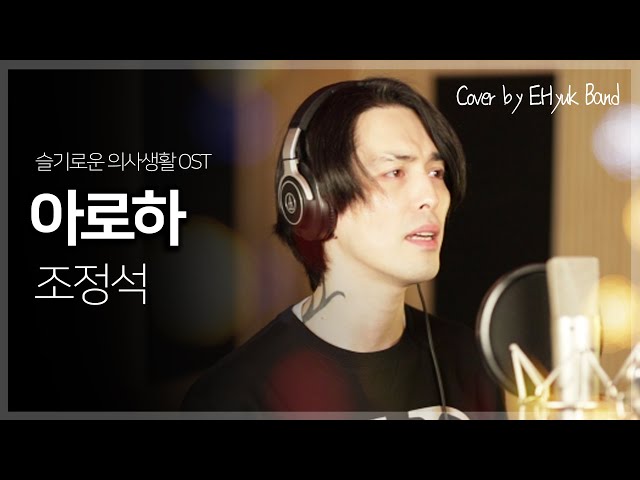 조정석(Cho Jung-seok) - 아로하(Aloha) (슬기로운 의사생활 OST) - Cover by E.Hyuk