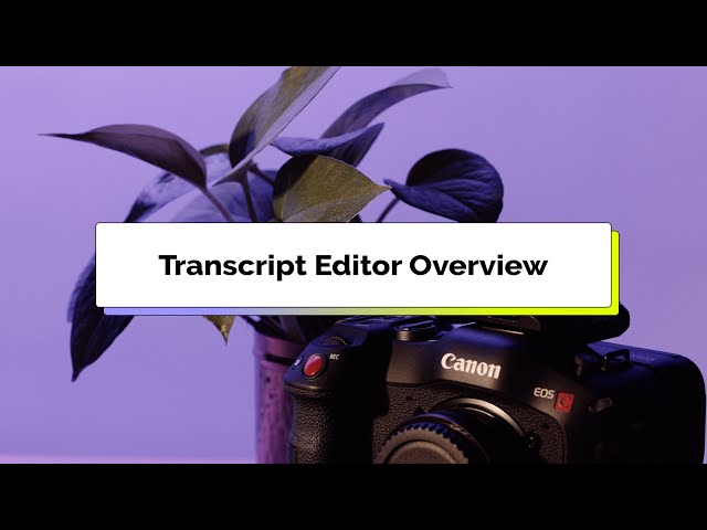 Rev's Transcript Editor Overview
