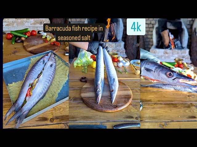Recipe for cooking barracuda fish in seasoned salt on fire ...