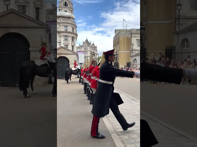 The Queen's Guard Inspector takes out his sword #shorts